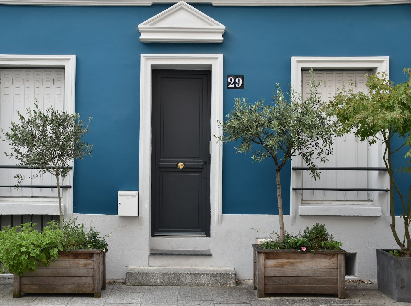 Blue external door with a plant